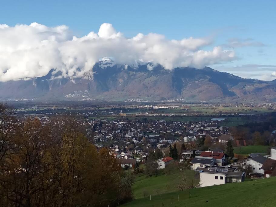 Rheintal Im Alpenvorland Apartment Batschuns