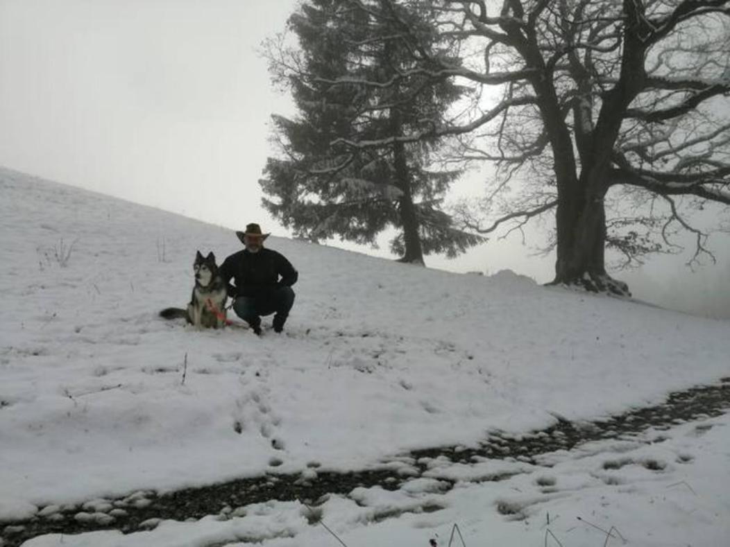 Rheintal Im Alpenvorland