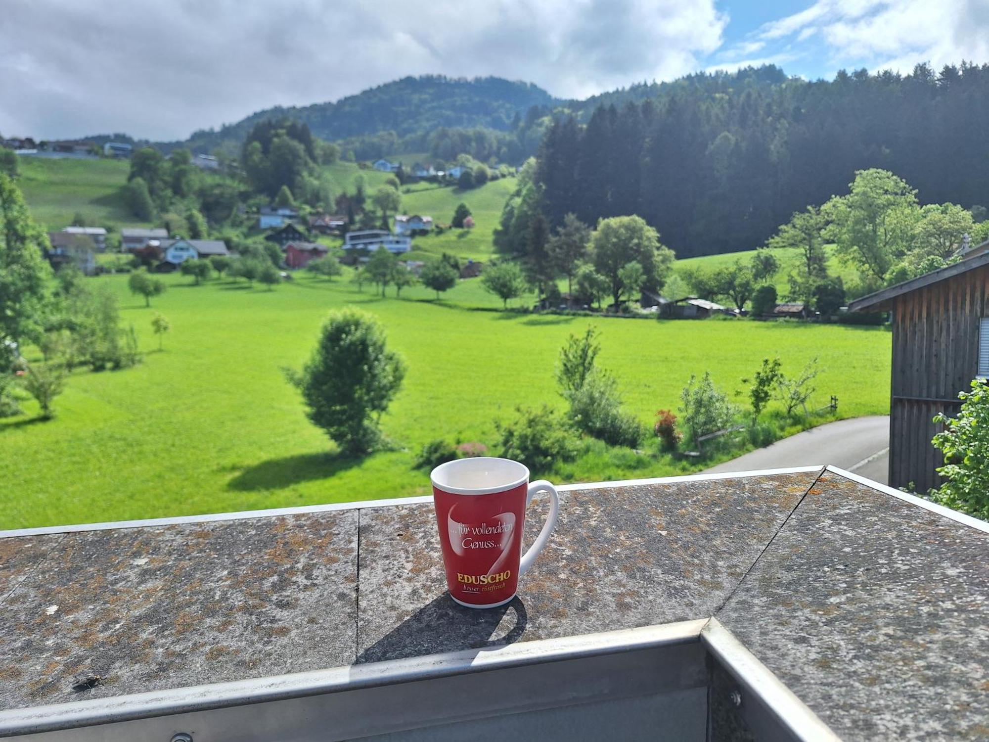 Rheintal Im Alpenvorland * Batschuns