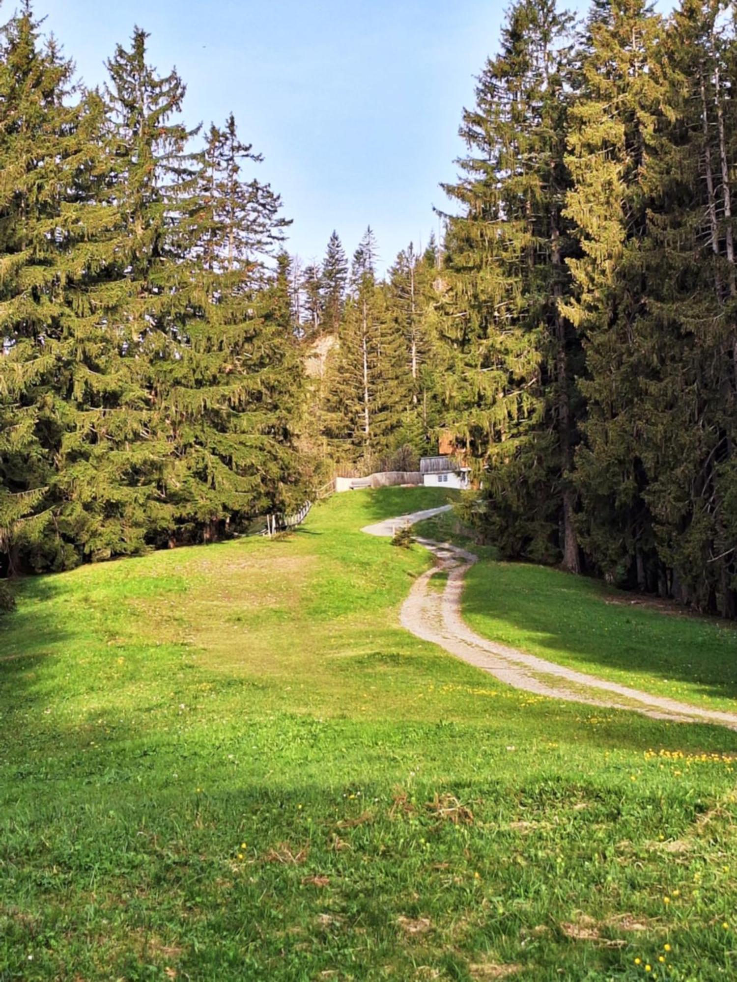 Apartment Rheintal Im Alpenvorland *