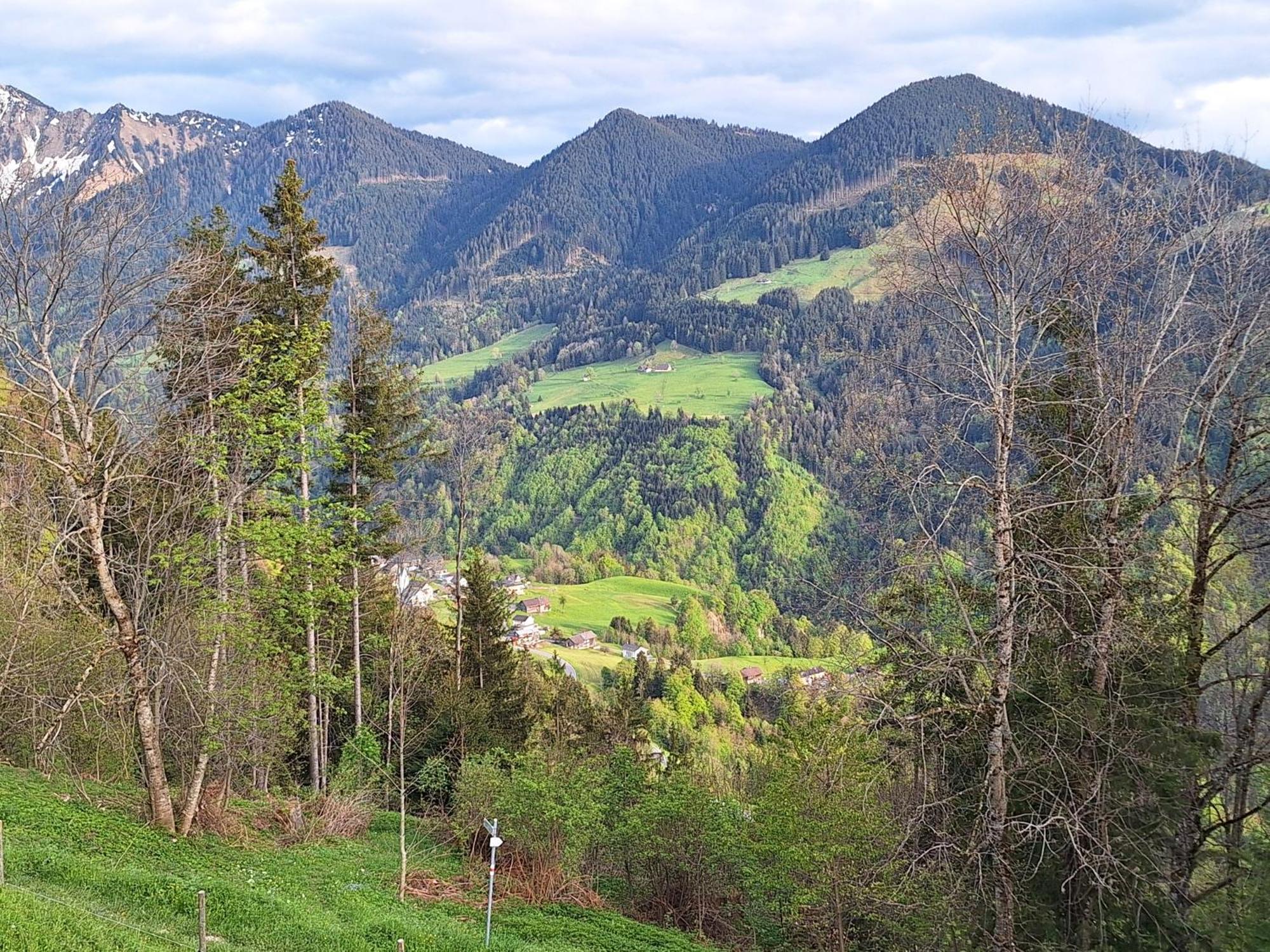Apartment Rheintal Im Alpenvorland Batschuns
