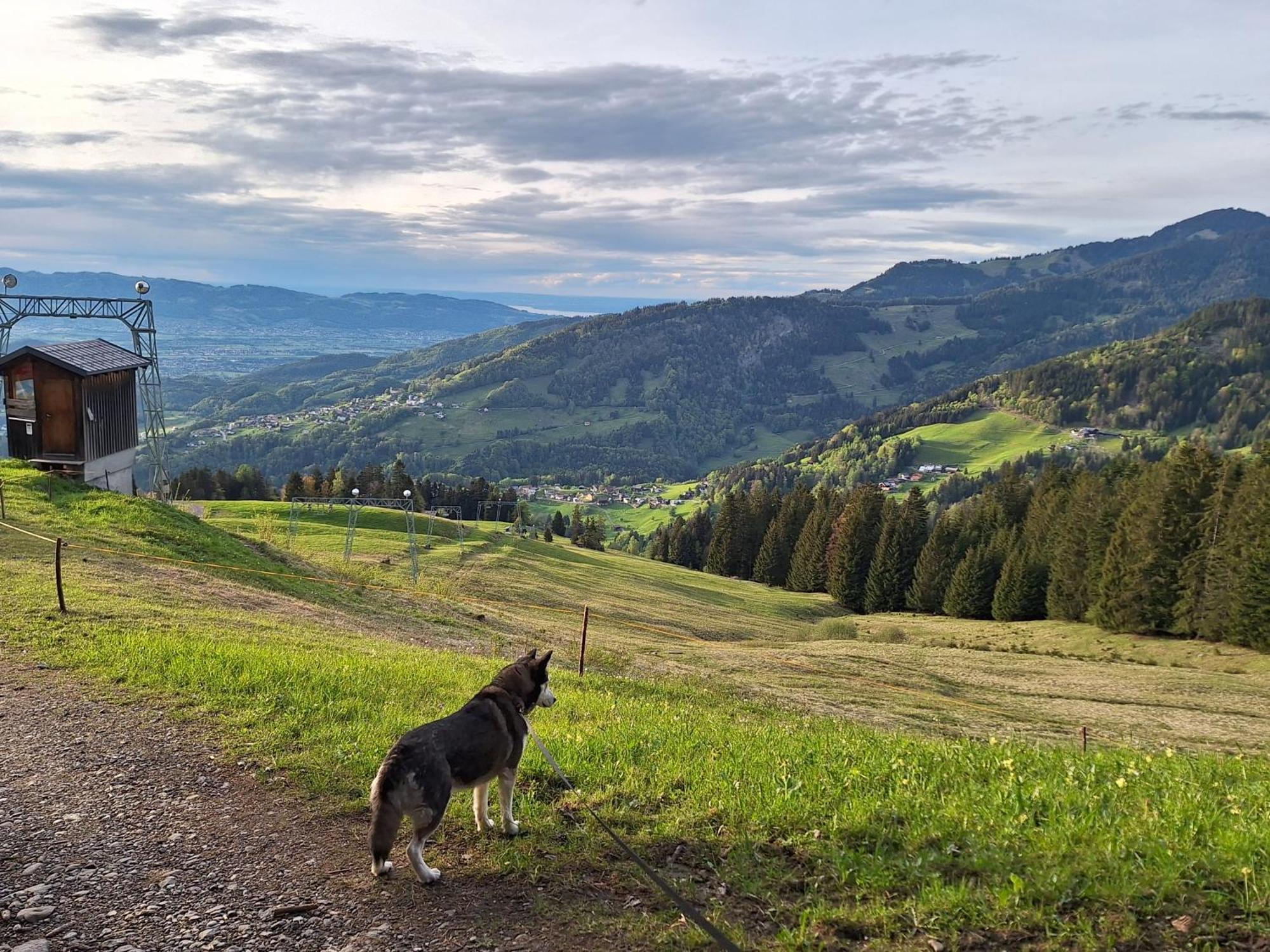 Rheintal Im Alpenvorland