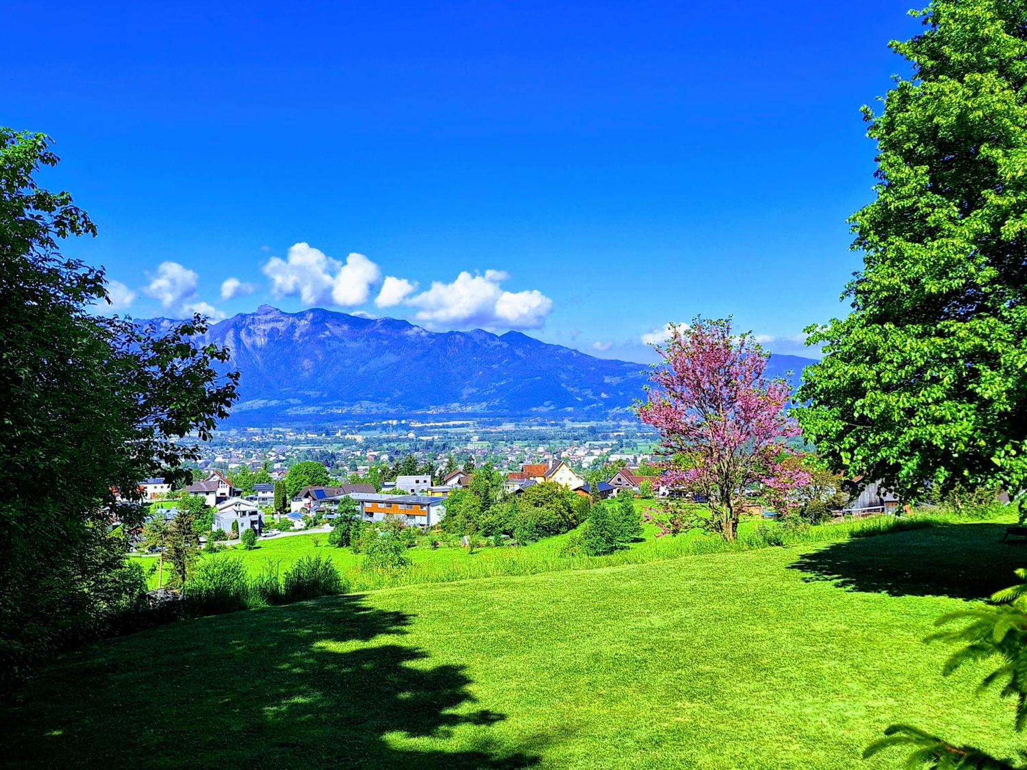Apartment Rheintal Im Alpenvorland Batschuns